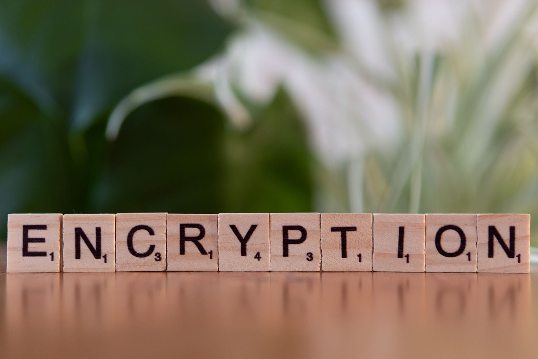 Zbliżenie na drewniane klocki z napisem encryption, ochrona danych